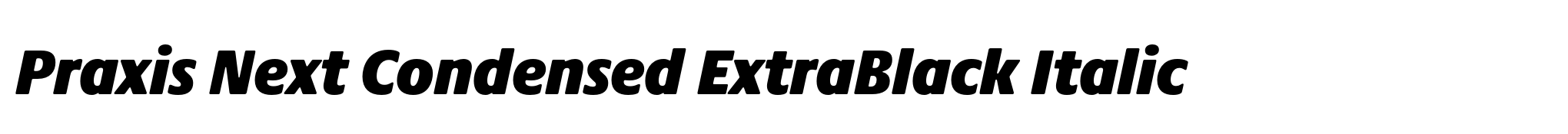 Praxis Next Condensed ExtraBlack Italic image